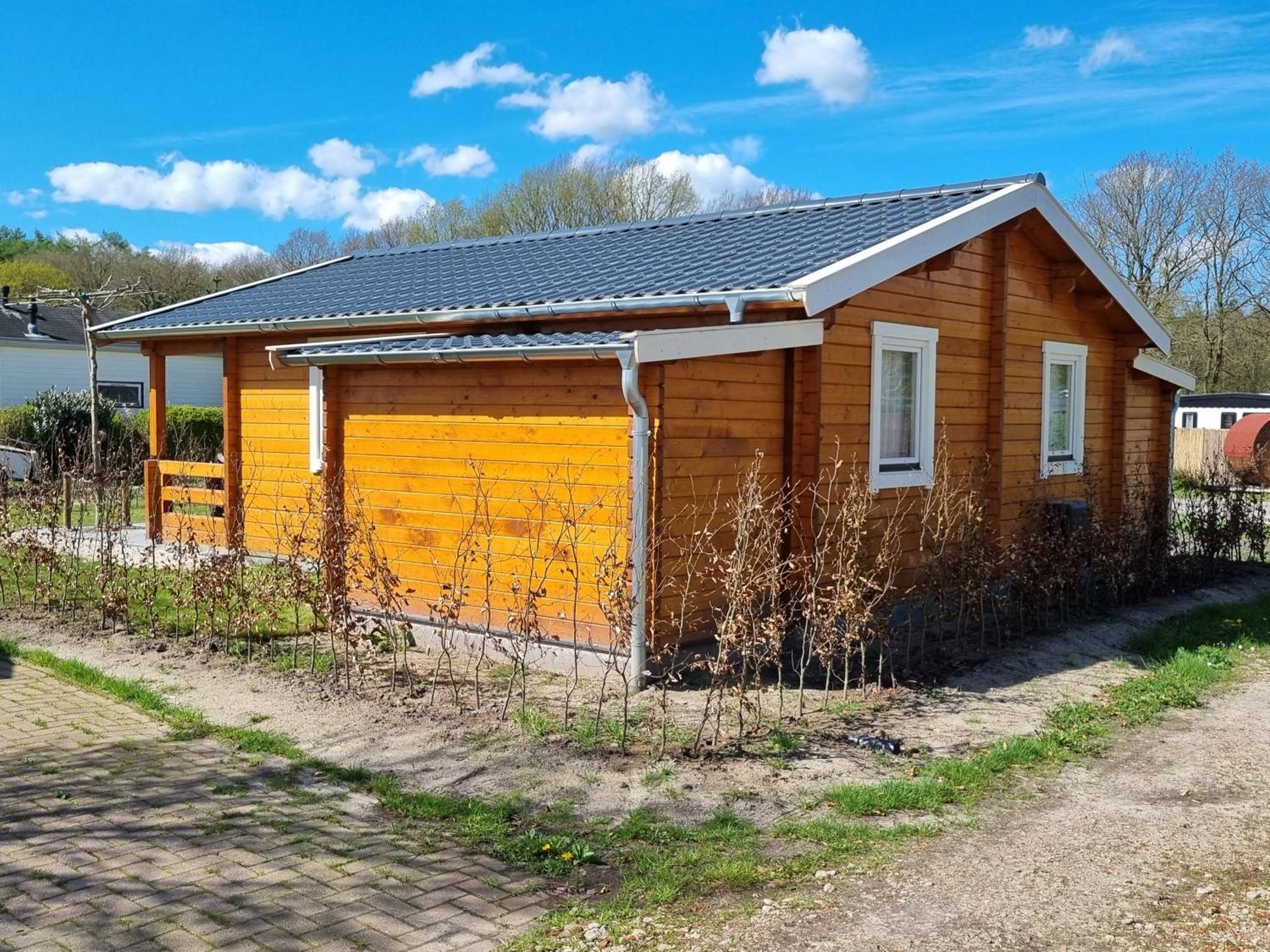 Nieuw - Luxe Blokhut Chalet In Bosrijke Omgeving Anloo Exterior photo